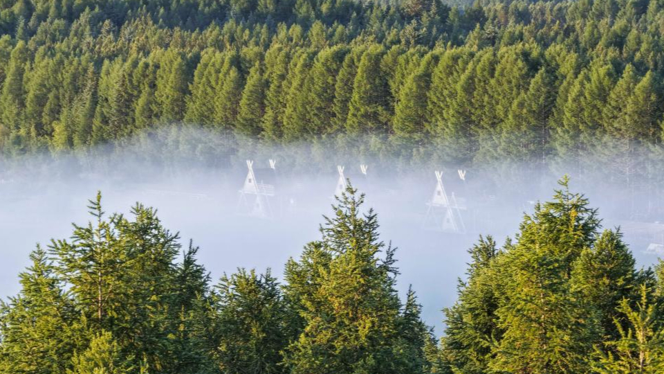 新華鮮報(bào) | 春已至！“植”綠山河