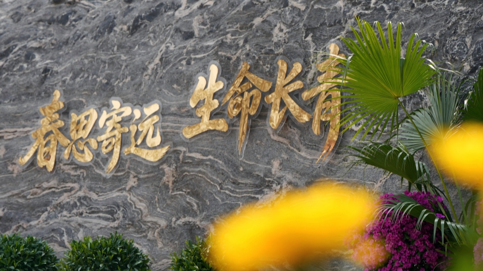 新華網(wǎng)民生觀察丨生態(tài)安葬，從被動(dòng)接受到主動(dòng)預(yù)約