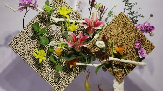 如此動人，和百合來場約會吧！