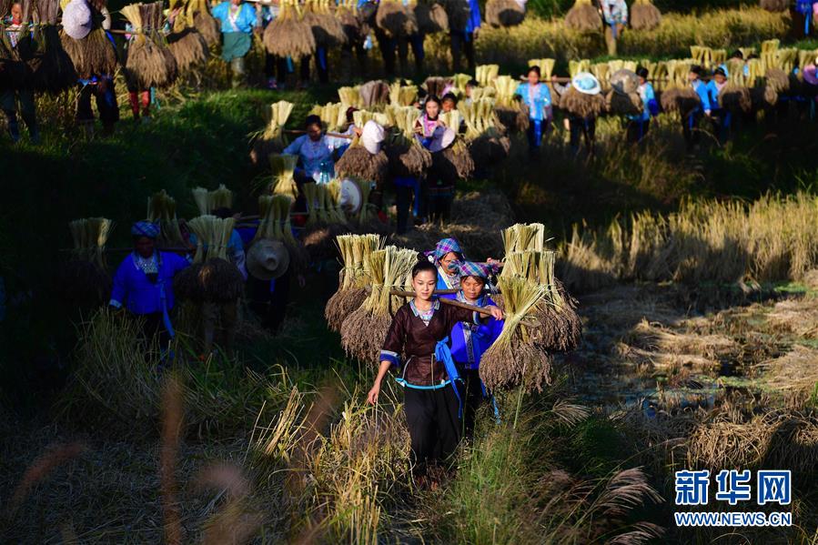 (輝煌60年·壯美新廣西·圖文互動)(6)攜手描繪八桂大地上的美麗畫卷——寫在廣西壯族自治區(qū)成立60周年之際