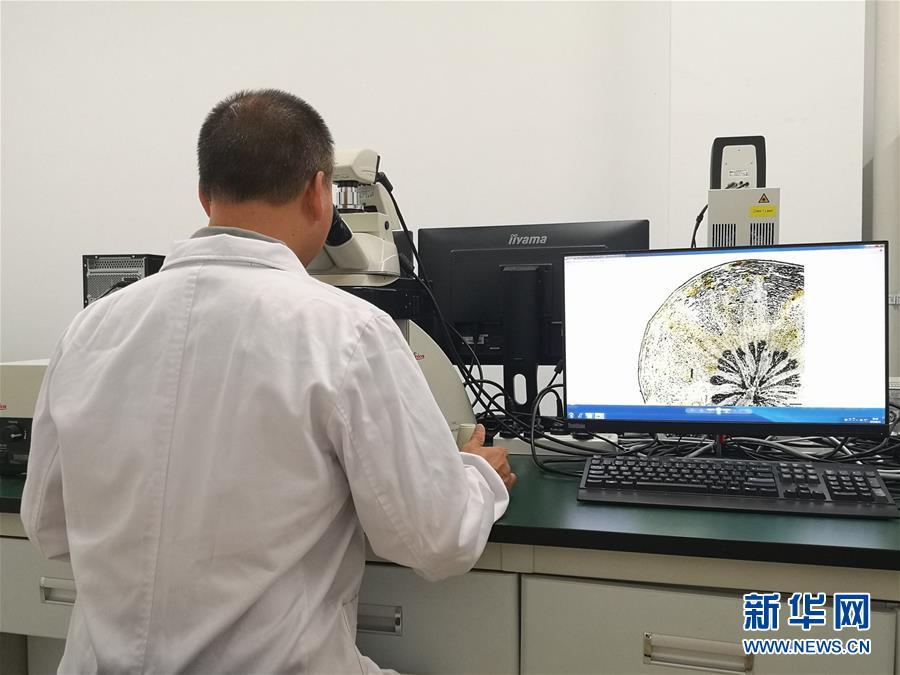 （新華調查&middot;新中國考古重大發(fā)現(xiàn)&middot;圖文互動）（5）?；韬睿翰粌H僅是&ldquo;黃金大墓&rdquo;