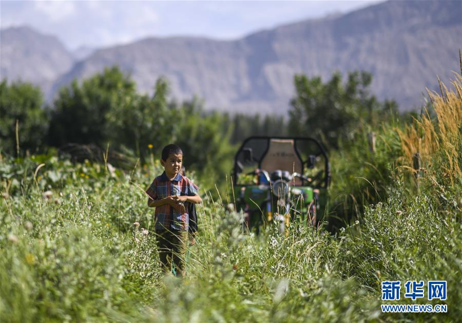 (決戰(zhàn)決勝脫貧攻堅(jiān)·圖文互動)(5)記者手記:尋訪昆侖“桃花源”的“祛病”良方