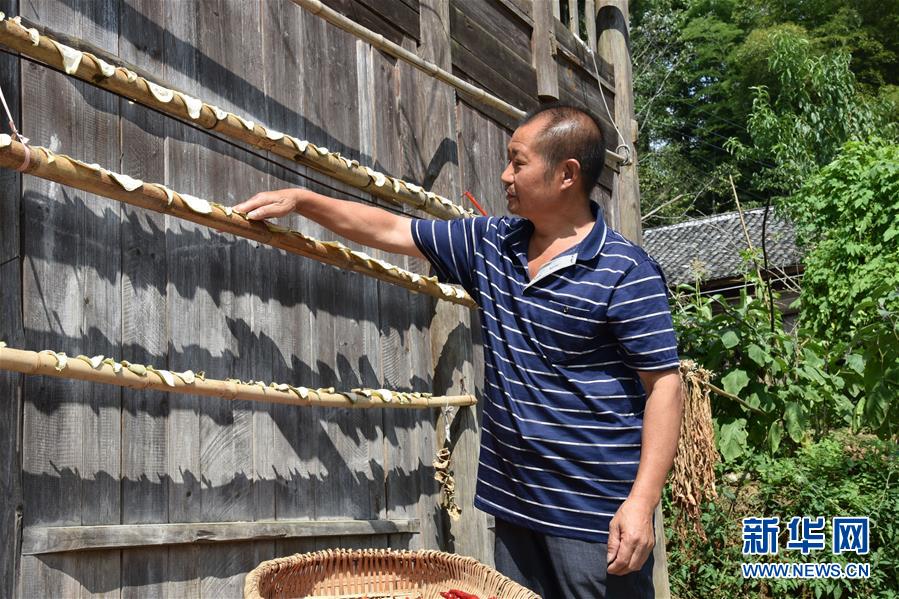 （愛國情 奮斗者&middot;圖文互動）（2）貴州印江高石坎護林隊：半輩子，以林場為家