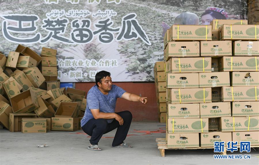 (決戰(zhàn)決勝脫貧攻堅·圖文互動)(3)“窮”鄉(xiāng)富戶的販瓜生意經(jīng)