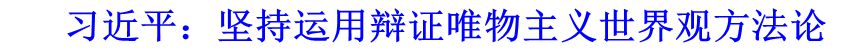 習(xí)近平：堅持運(yùn)用辯證唯物主義世界觀方法論