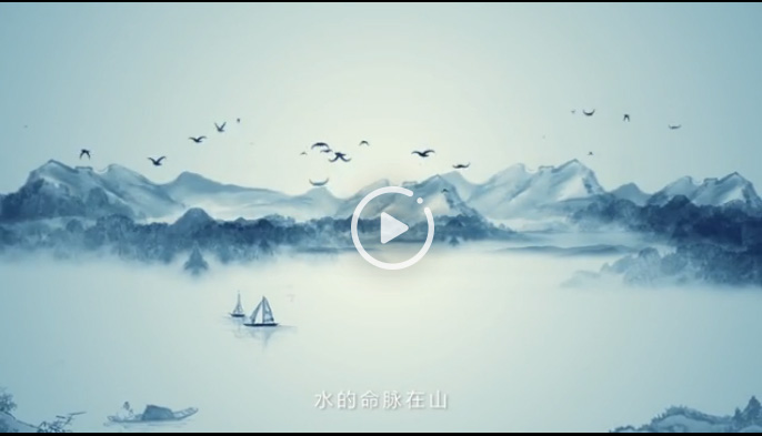 向陽(yáng)花木易為春&mdash;&mdash;綠色發(fā)展之&ldquo;木&rdquo;的故事