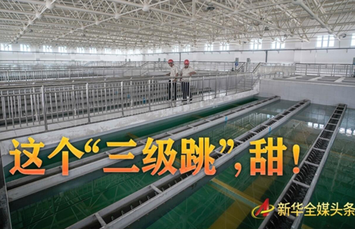 這個&ldquo;三級跳&rdquo;，甜！