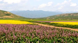 臺(tái)灣女企業(yè)家耕耘十年終圓&ldquo;香草夢(mèng)&rdquo;