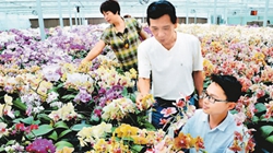 臺(tái)商眼中的改革開(kāi)放：風(fēng)景這邊獨(dú)好 要去，要去，要去！