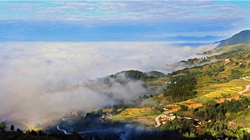 臺(tái)胞臺(tái)商熱議陜西惠臺(tái)&ldquo;60條&rdquo;：期盼落實(shí)、共享機(jī)遇